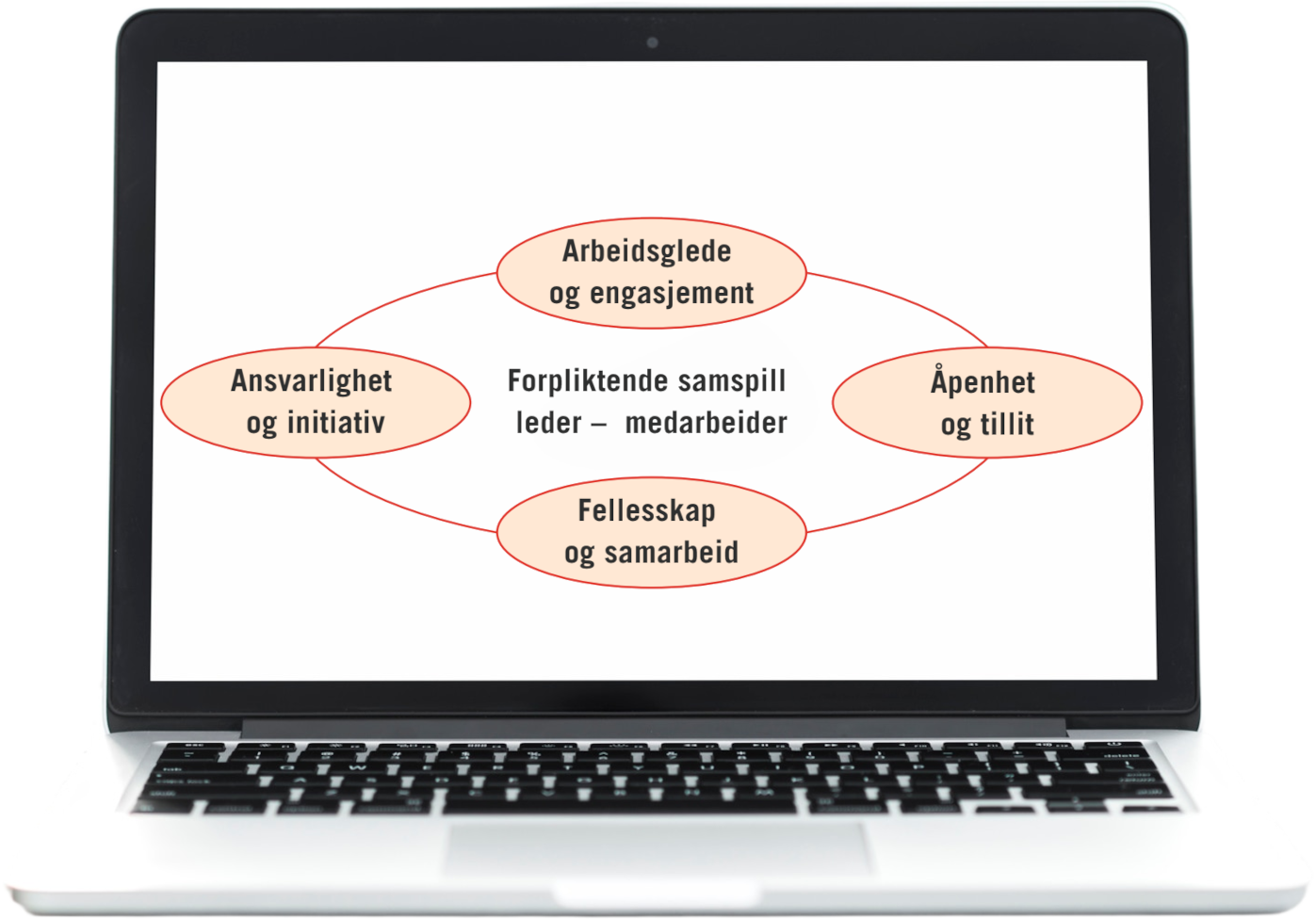Picture of a laptop with a screenshot of ledMed model